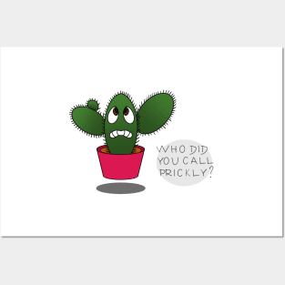 Prickly Cactus Posters and Art